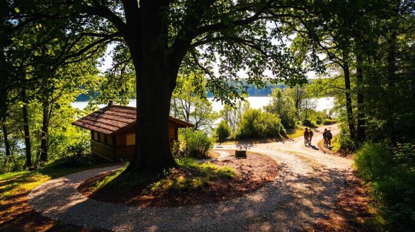Top 10 activités de camping à essayer en Charente-Maritime